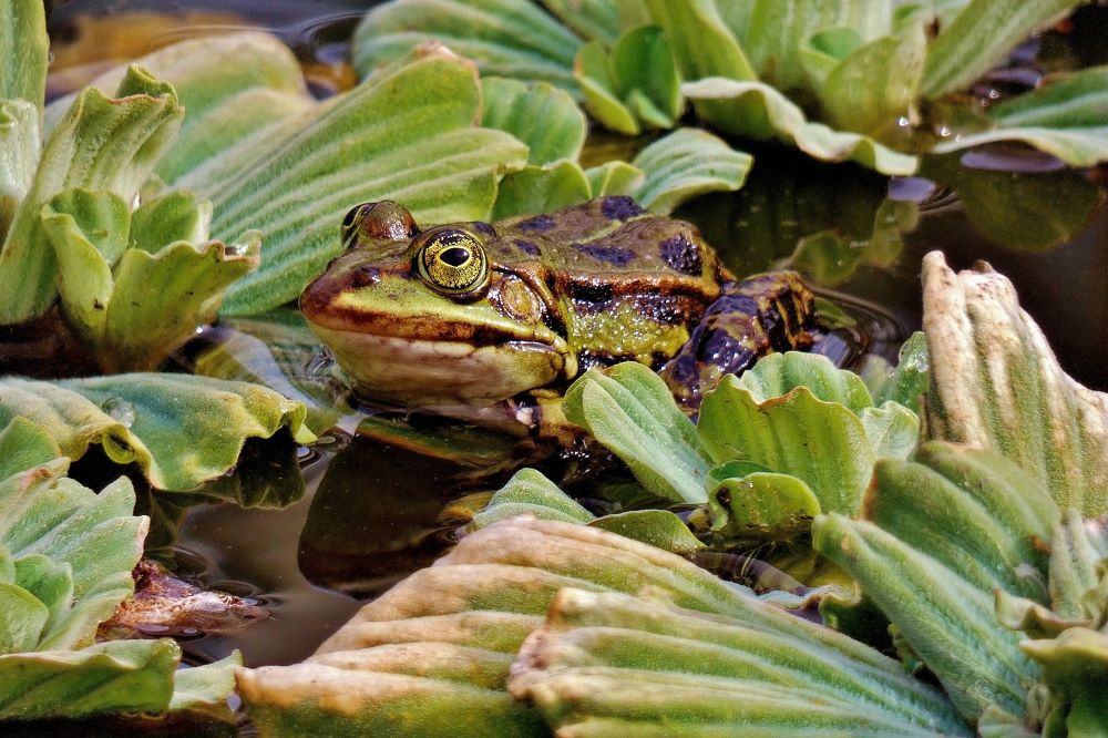 Photograph by backareva irina