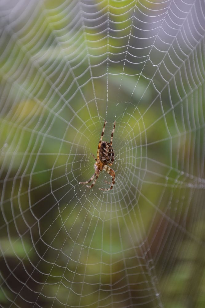 Photograph by Наталья Ченчикова