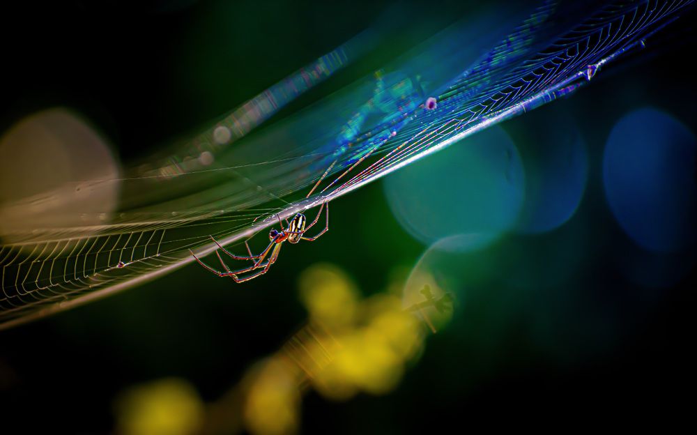 Photograph by Alberto Debs Rosales