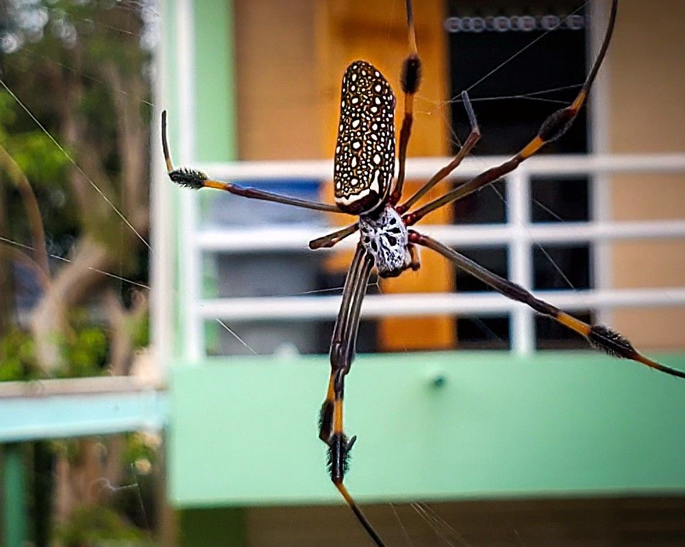 Photograph by Alberto Debs Rosales