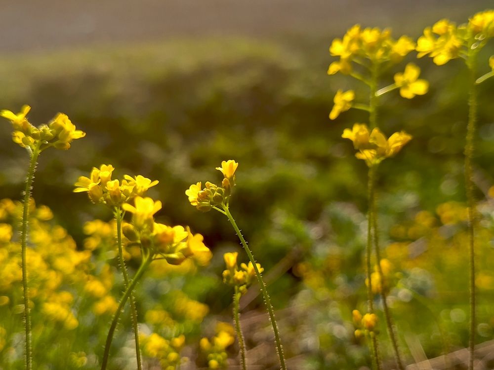 Photograph by Александра Ламанова