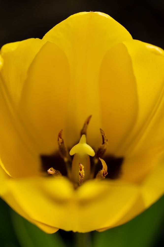 Photograph by Анжелика Сороколетова