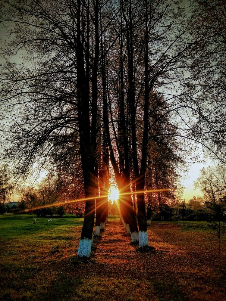 Photograph by Светлана Герасимчук