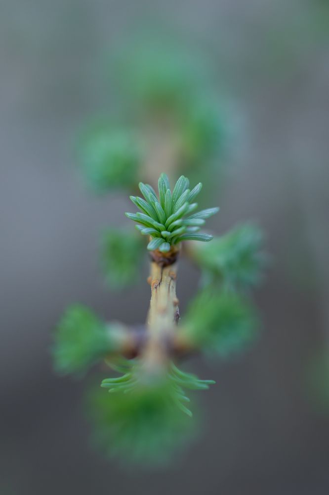 Photograph by Анжелика Сороколетова