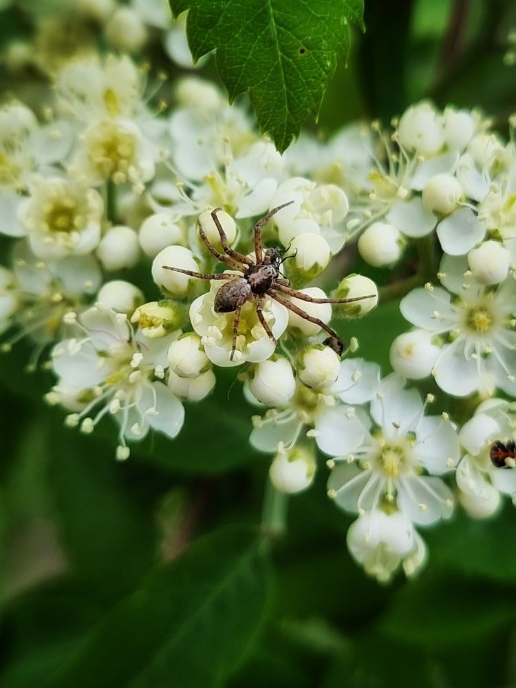 Фотография автора Дана Богинская