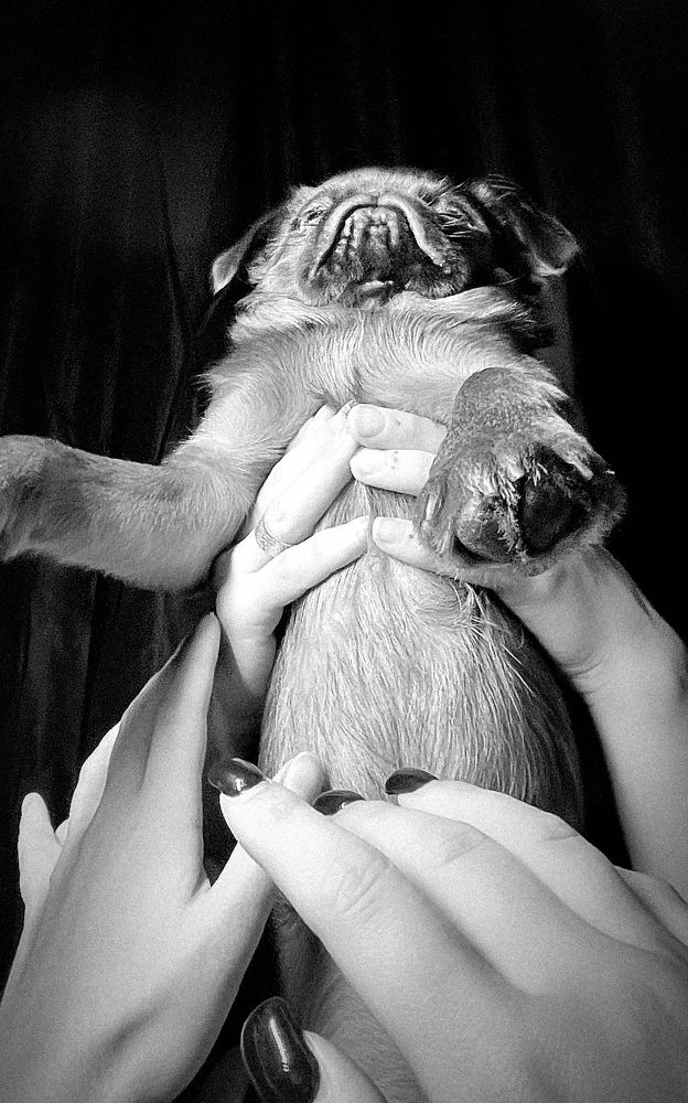 Photograph by Misha Khazov