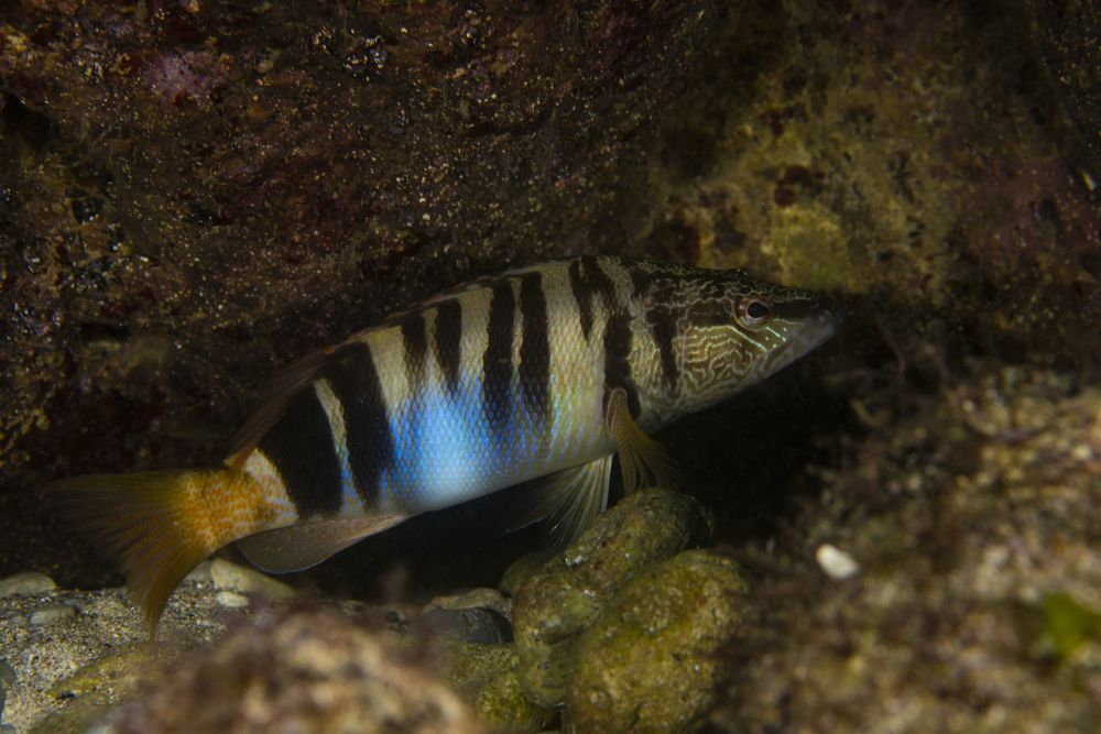 Photograph by Евгения Карпова