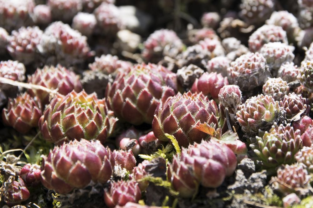 Photograph by Светлана Козлова