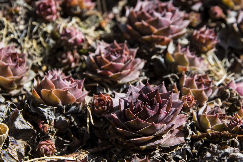 Photograph by Светлана Козлова