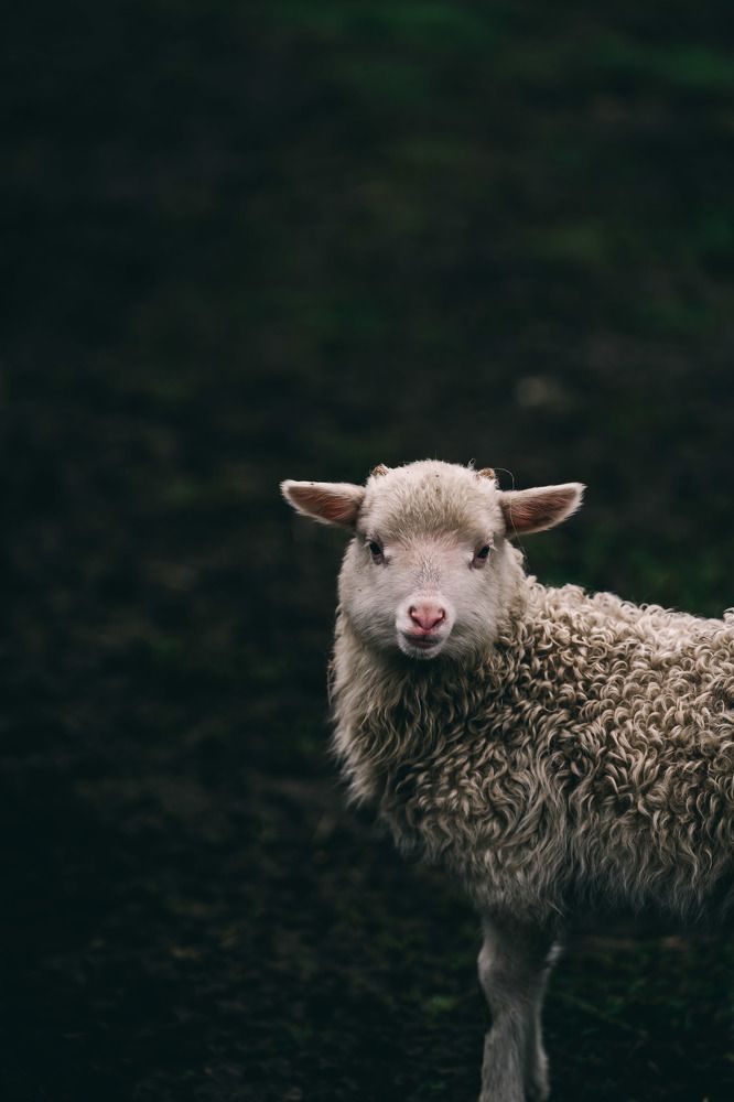 Photograph by xu.sh.a