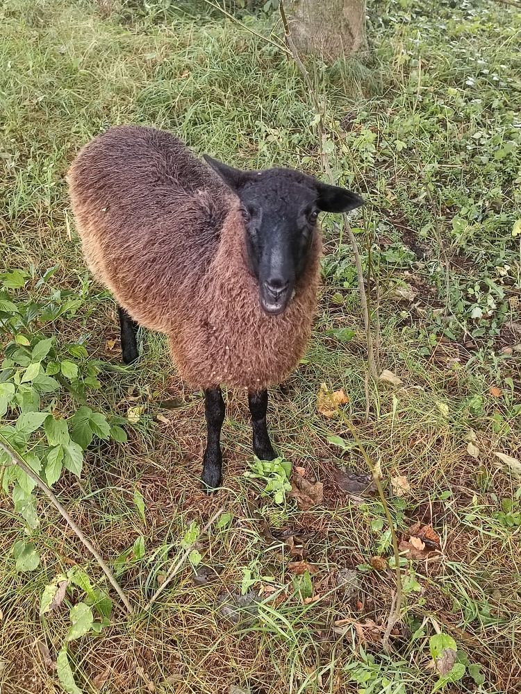 Photograph by Елена Пархоменко