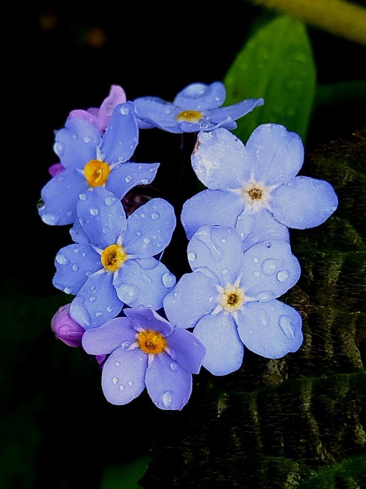 Photograph by Татьяна Солтан