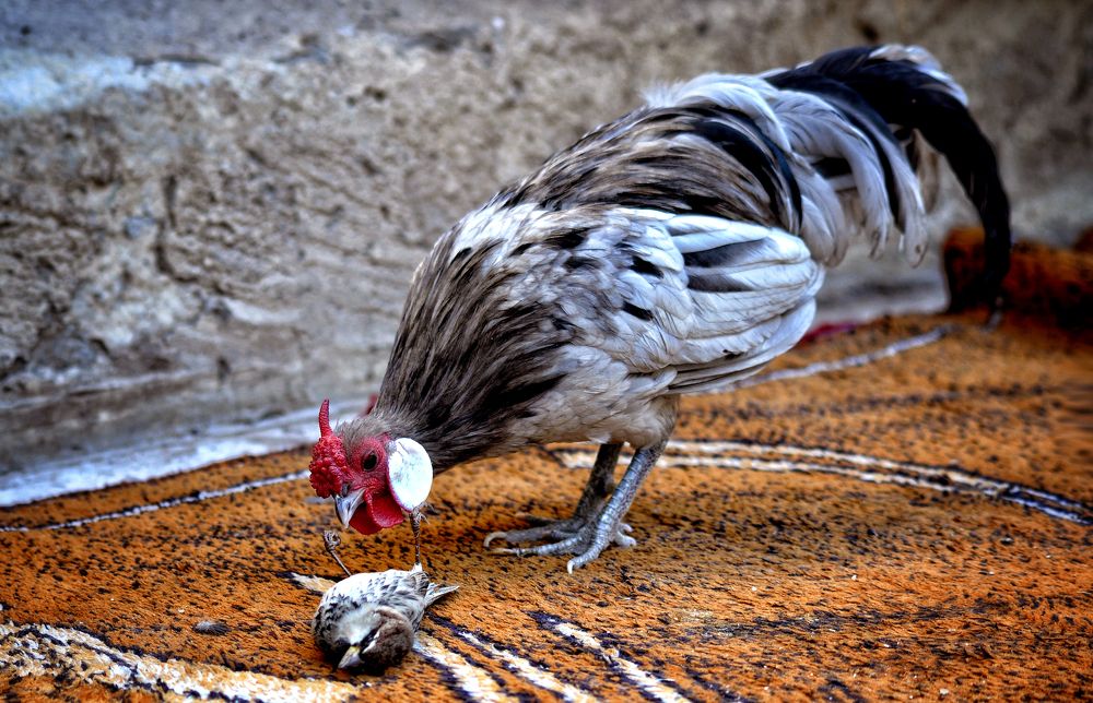 N'importe quel souffle d'air ou goutte d'eau... d'un monde très injuste