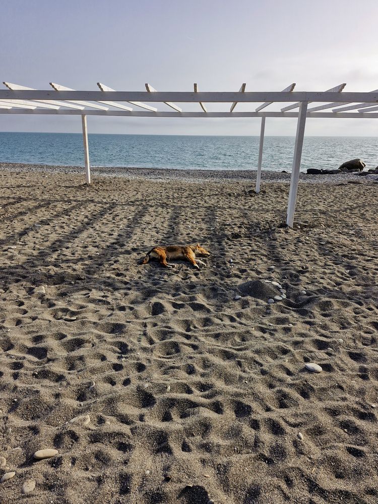 Photograph by Igor Chechin