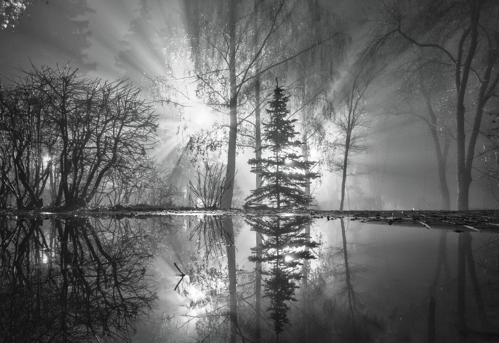 Фотография автора Николай Цветков