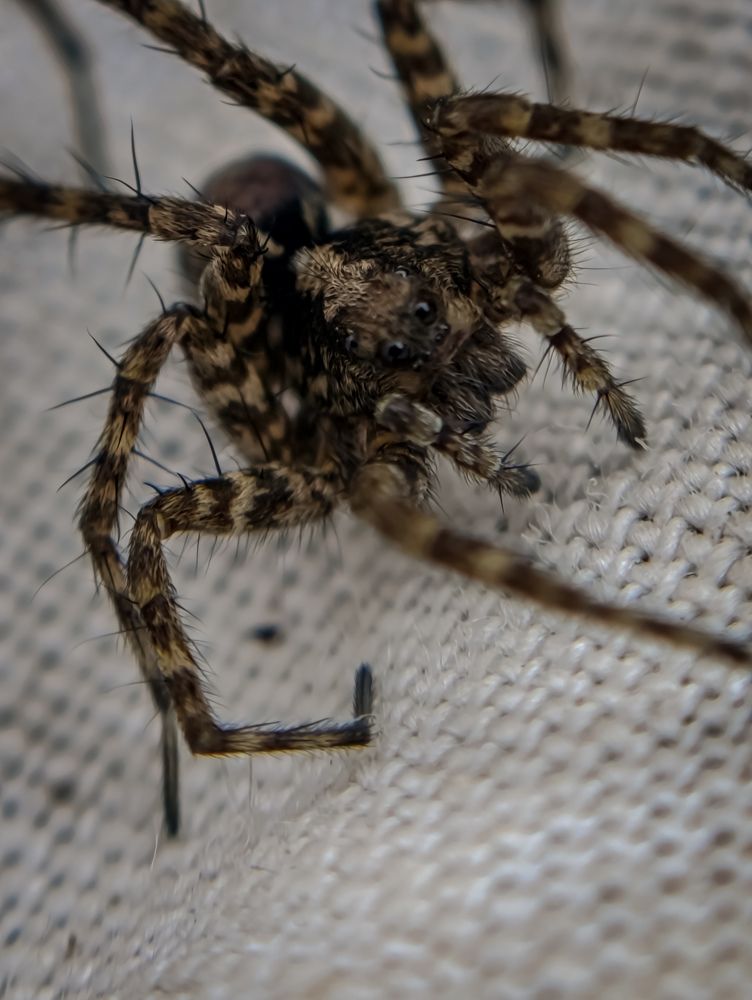 Photograph by Светлана Таркан