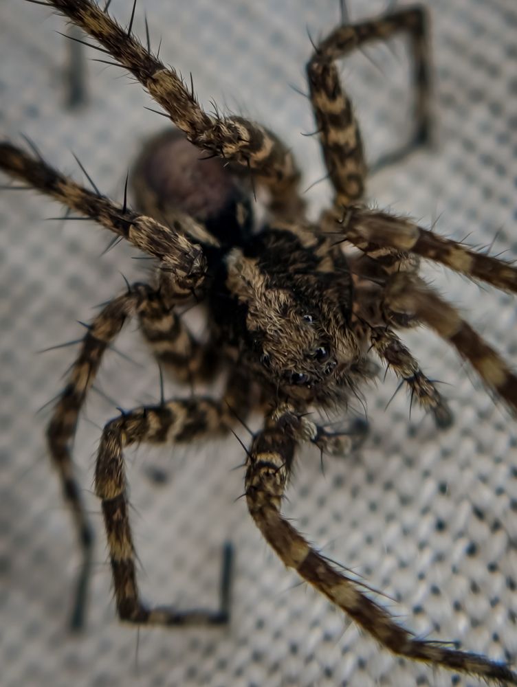 Photograph by Светлана Таркан