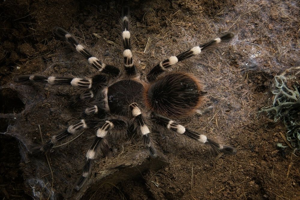 Photograph by Владимир Микрокосмос