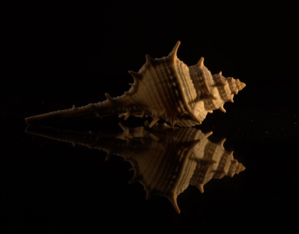 Фотография автора Lada