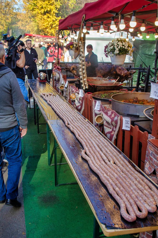 Photograph by Cojanu Silviu