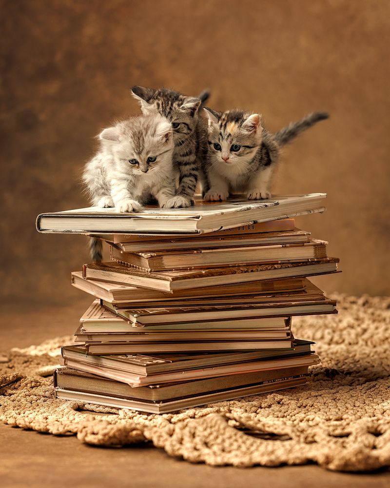 Photograph by Ирина Маркова