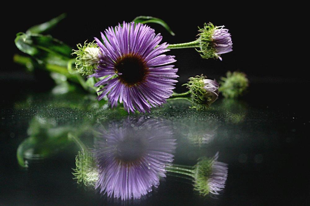 Photograph by Людмила Таерова