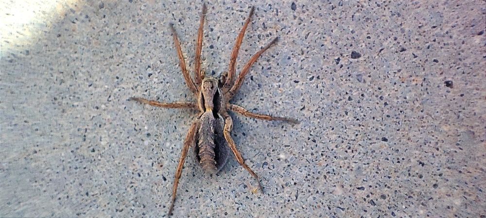 Photograph by Ирина Данилова