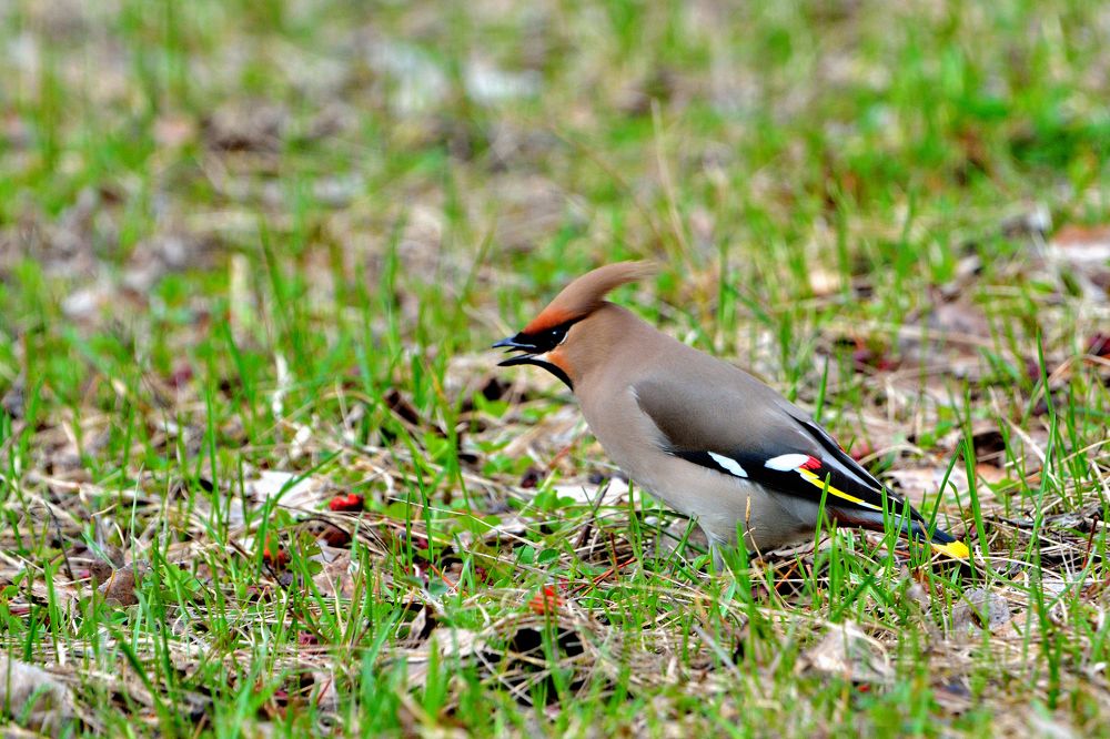 Photograph by Александр Зуев