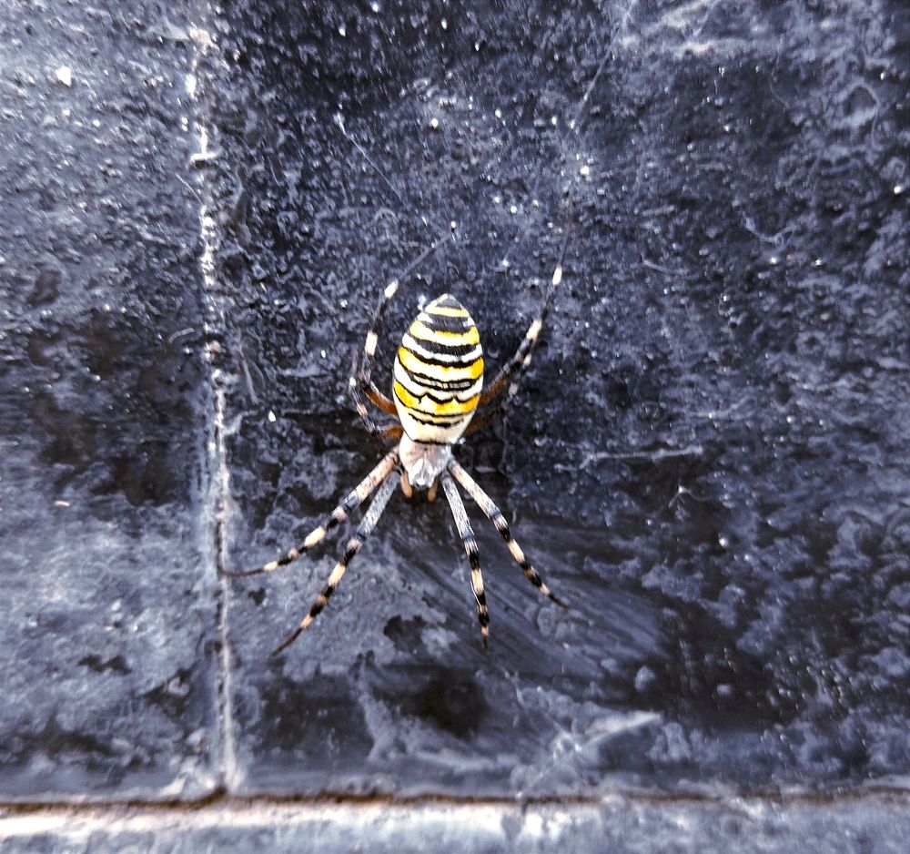 Photograph by Анатолий Вивдич