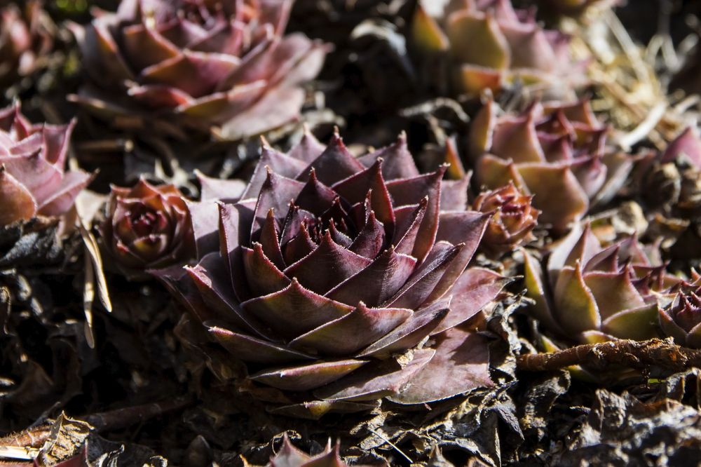 Photograph by Светлана Козлова