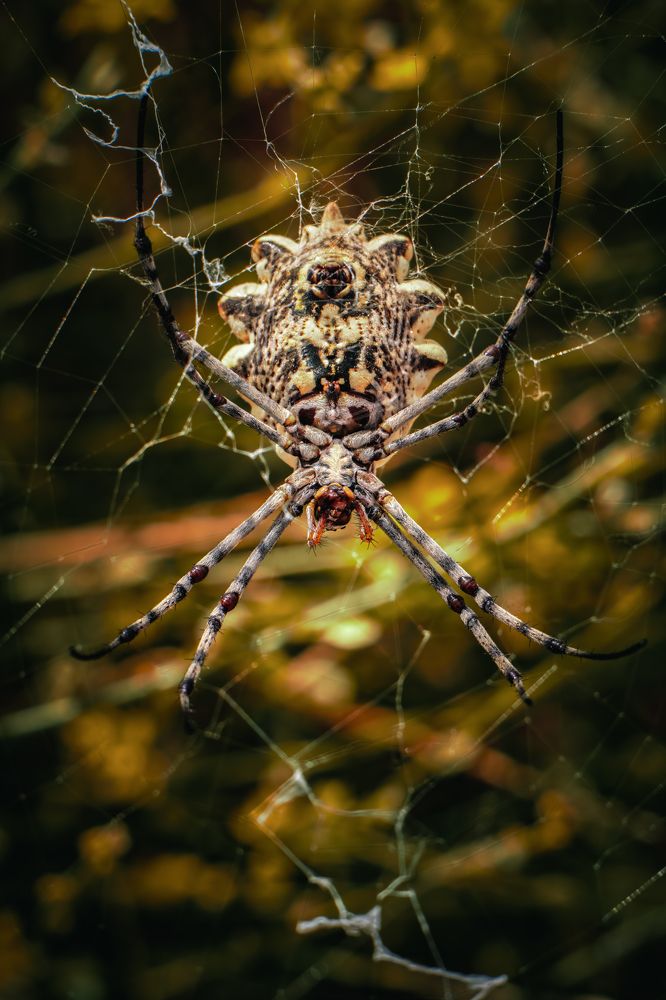 Photograph by Mutasim AL Bulushi