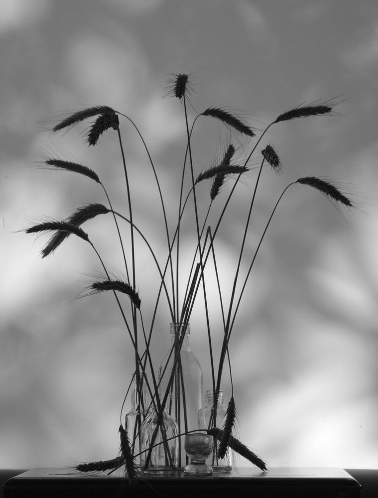 Photograph by 