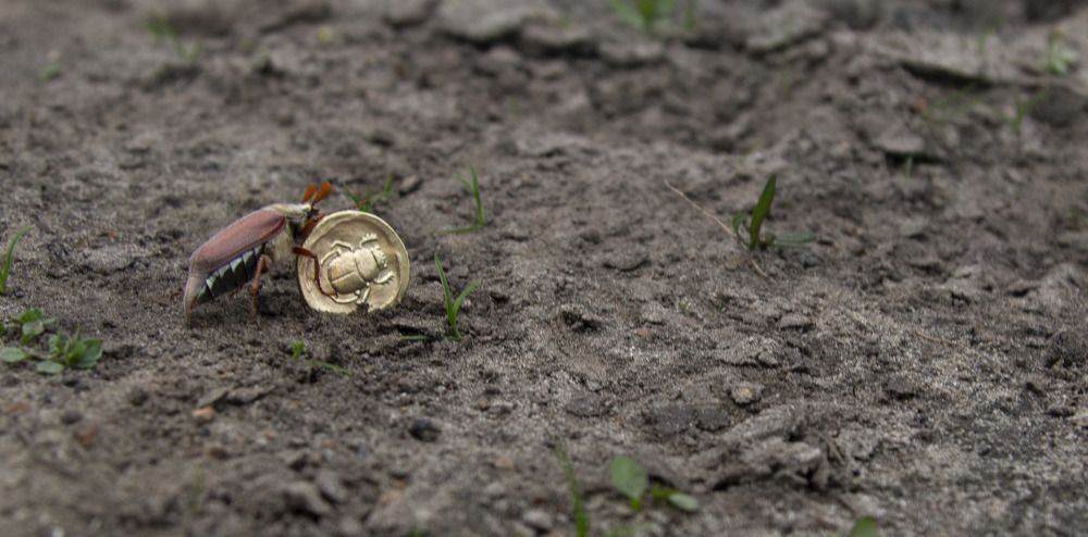 Майские доходы