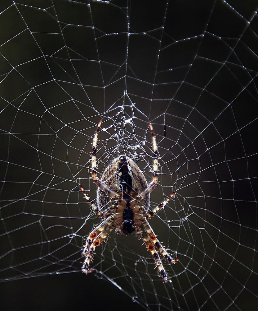 Фотография автора Александр