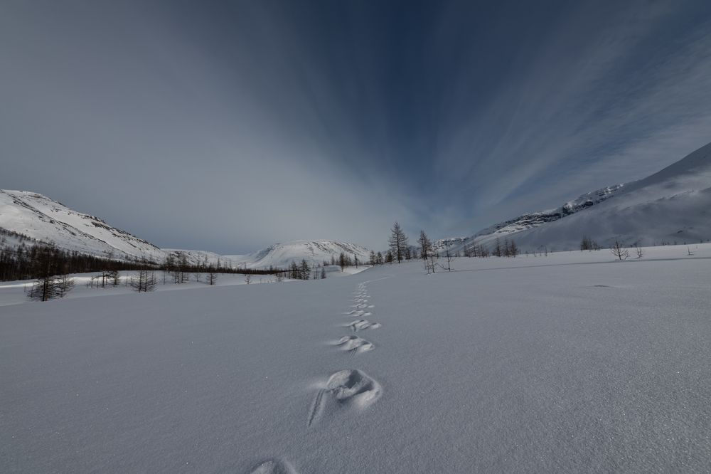 Photograph by Ирина Ульянова