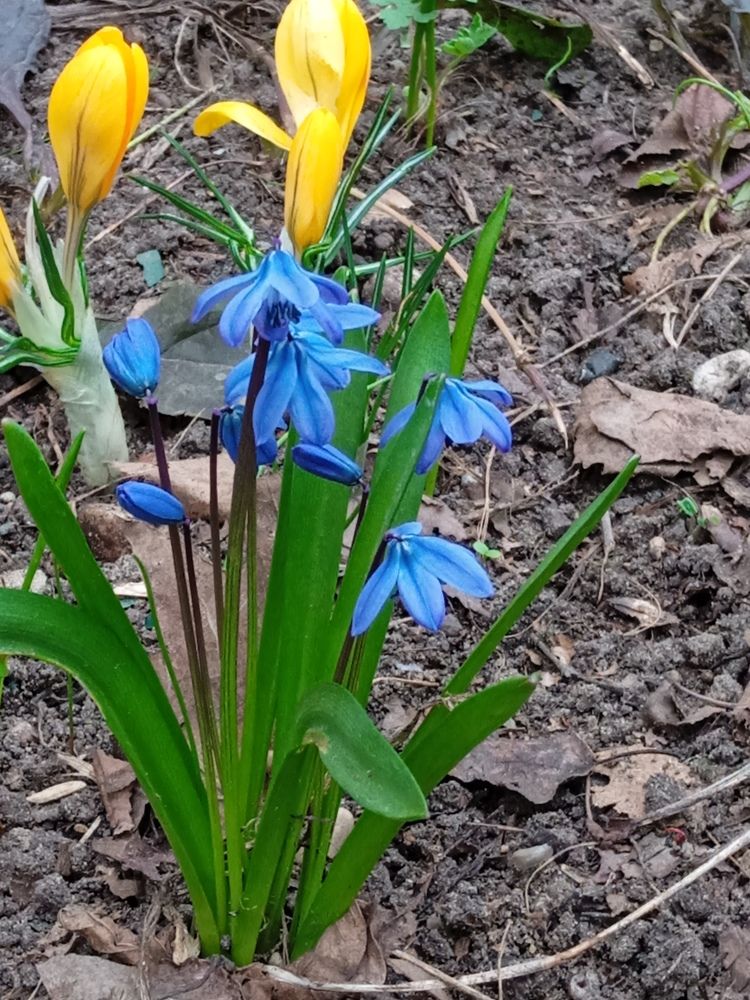 Photograph by Алия Хафизова