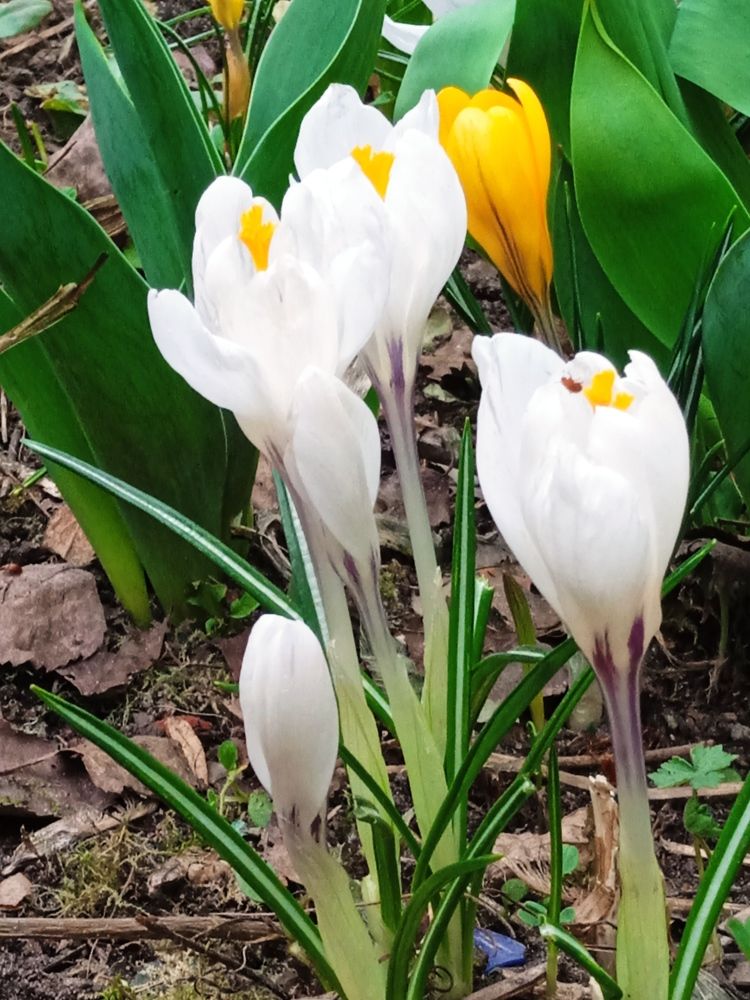 Photograph by Алия Хафизова