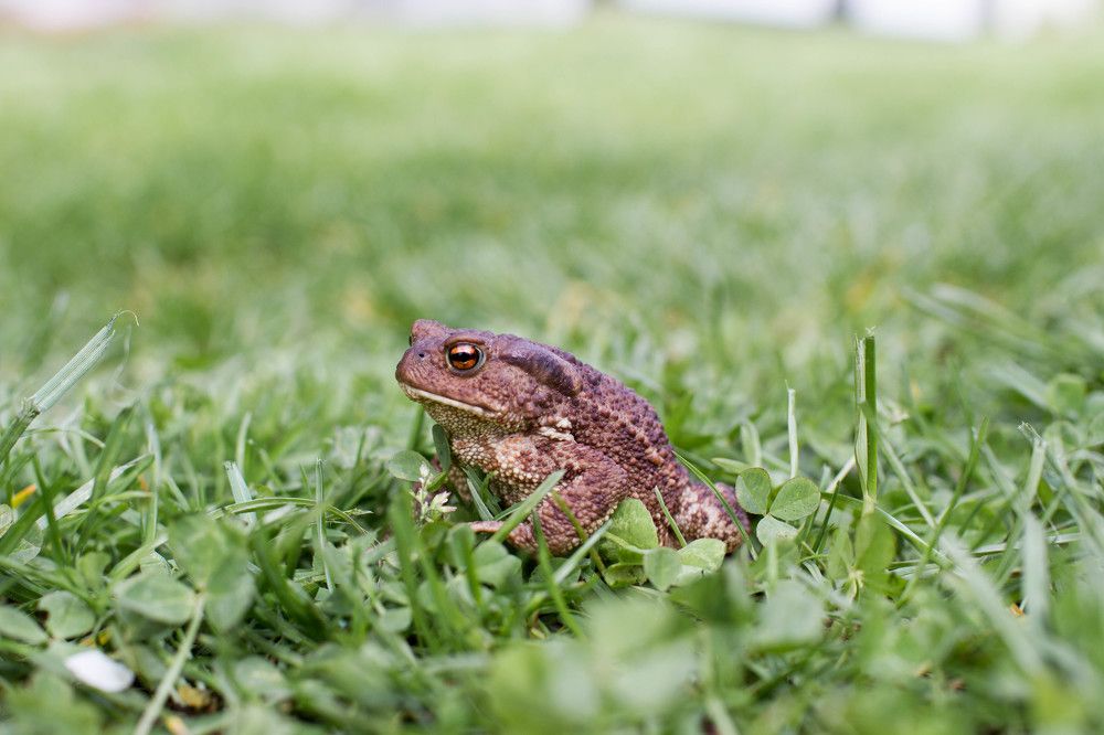 Photograph by Александр Новиков