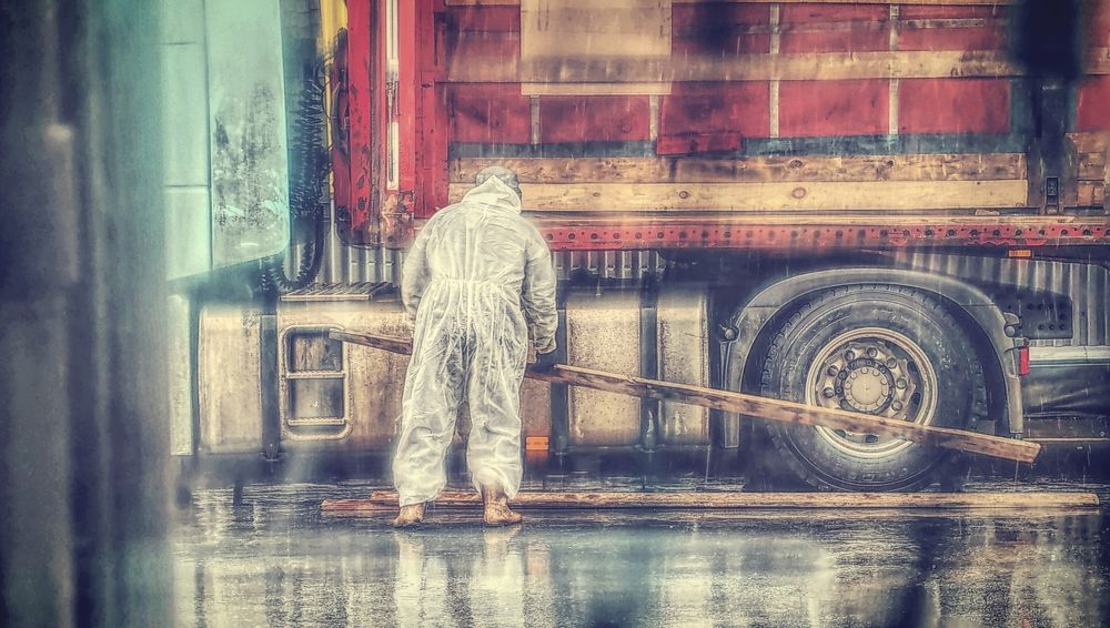 Photograph by Сергей Гриднев