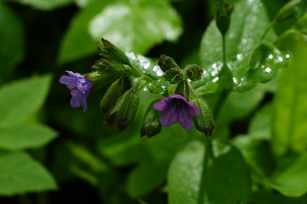 Photograph by Вячеслав Швецов