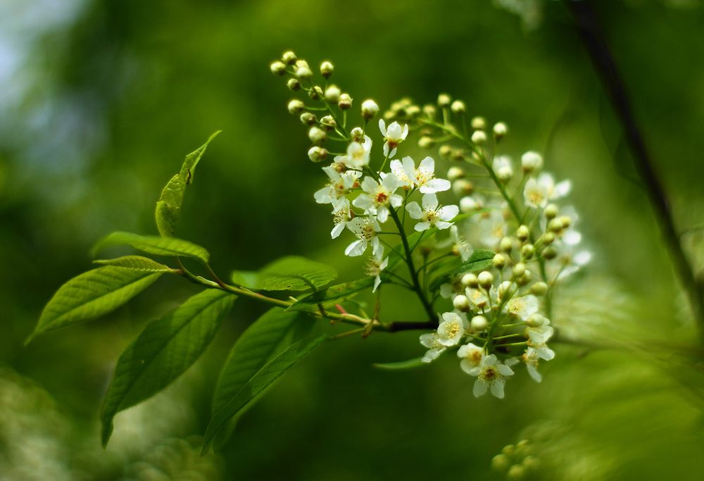 Photograph by Вячеслав Швецов