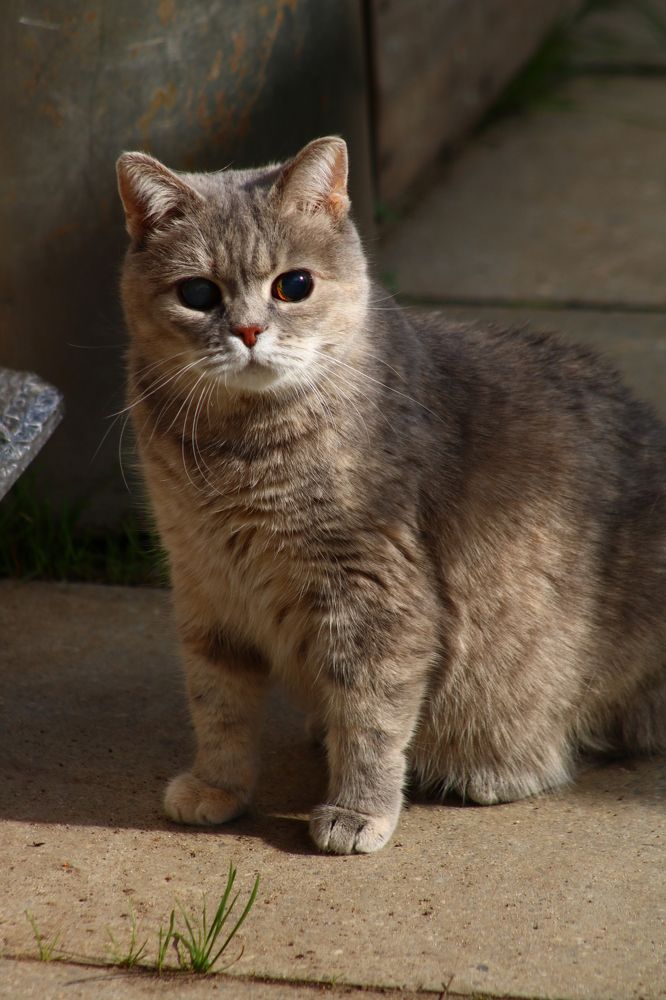 Photograph by Светлана Шуткова