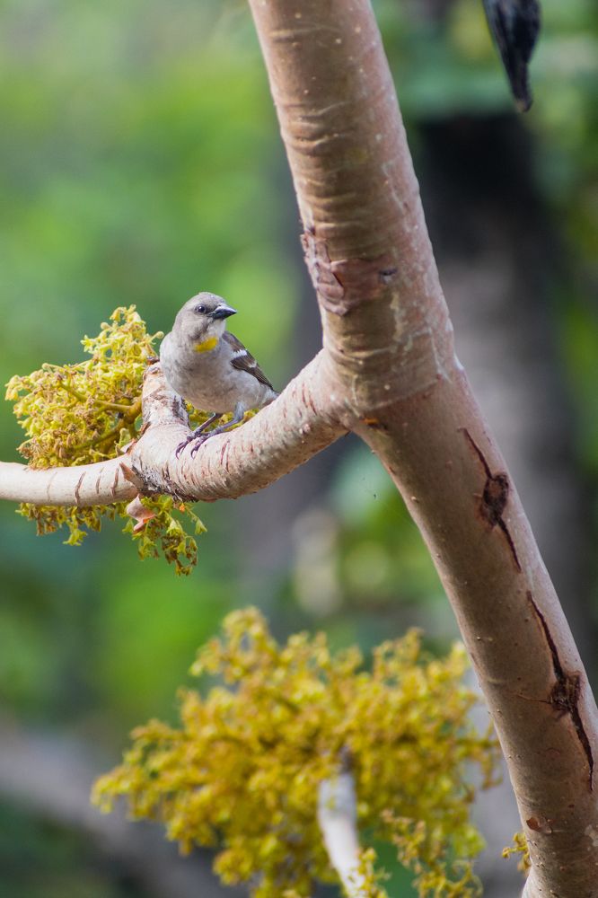 Photograph by Pritam Mandal