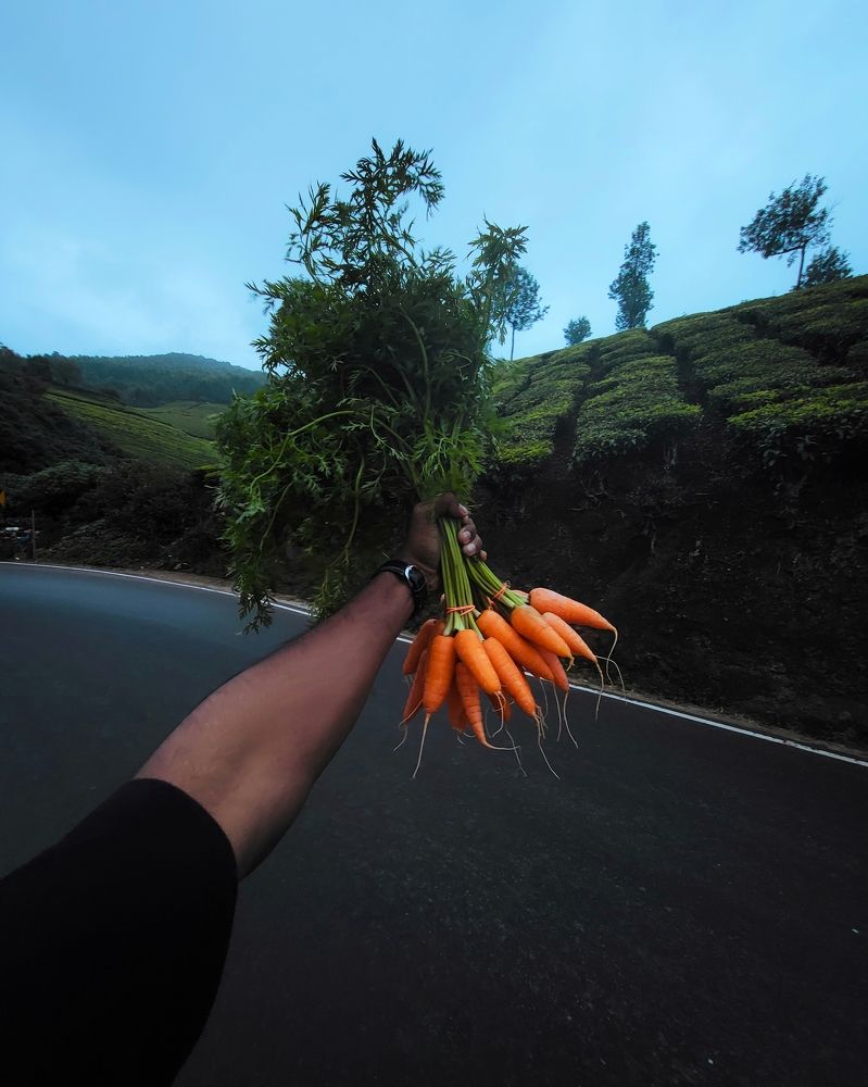 Фотография автора Karthik