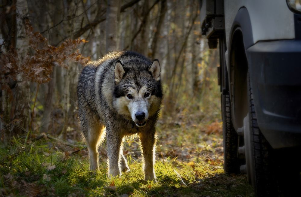 Photograph by Лев Постнов