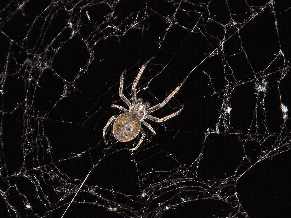 Photograph by Юрий Яковлев