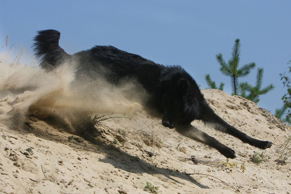 Фотография автора Надежда Лисицына