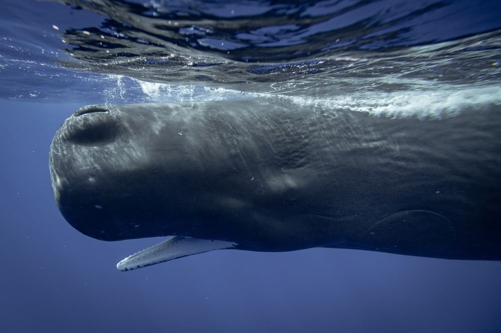 Photograph by Евгения Прасула