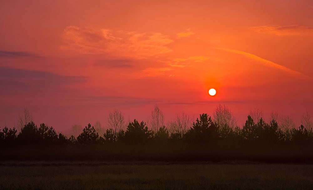 Фотография автора Nomin Jerabek