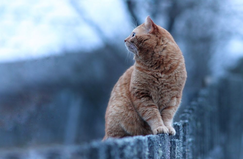 Photograph by Дарья Чистякова